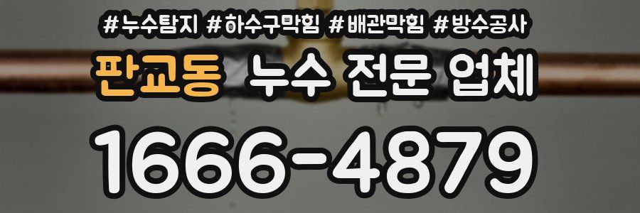 판교동 누수 전문 업체