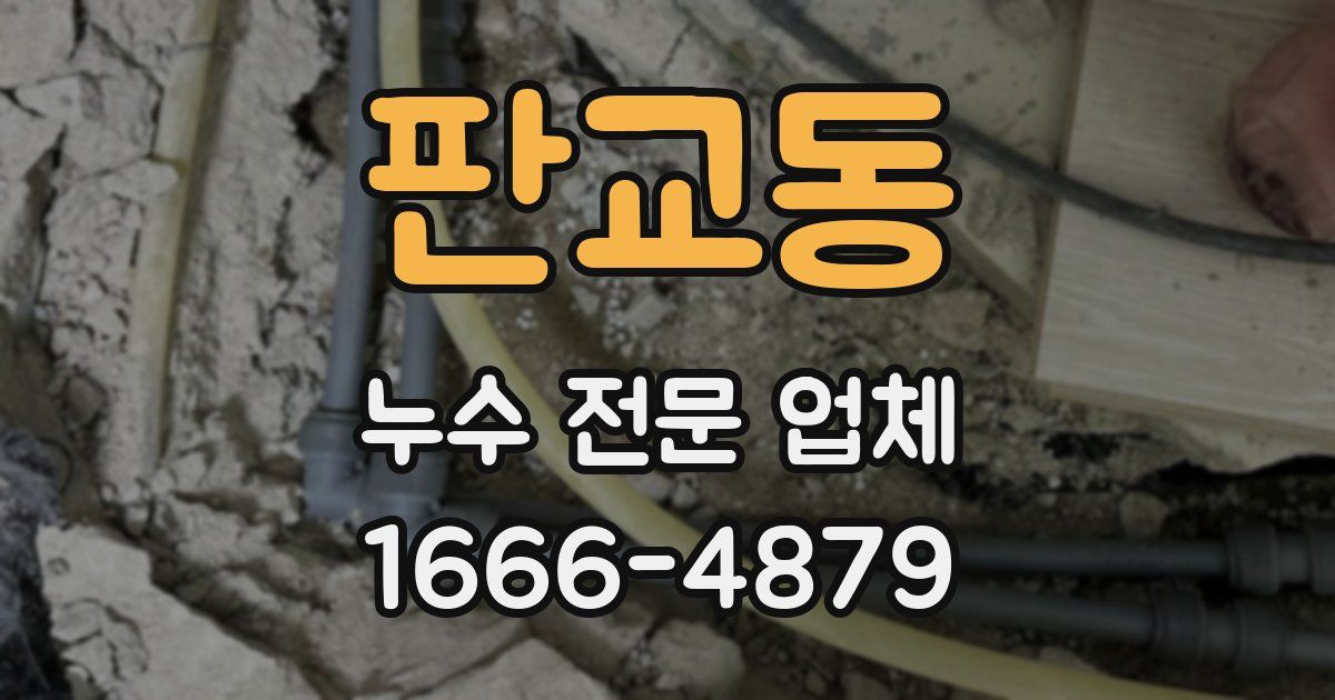 판교동 누수 전문 업체