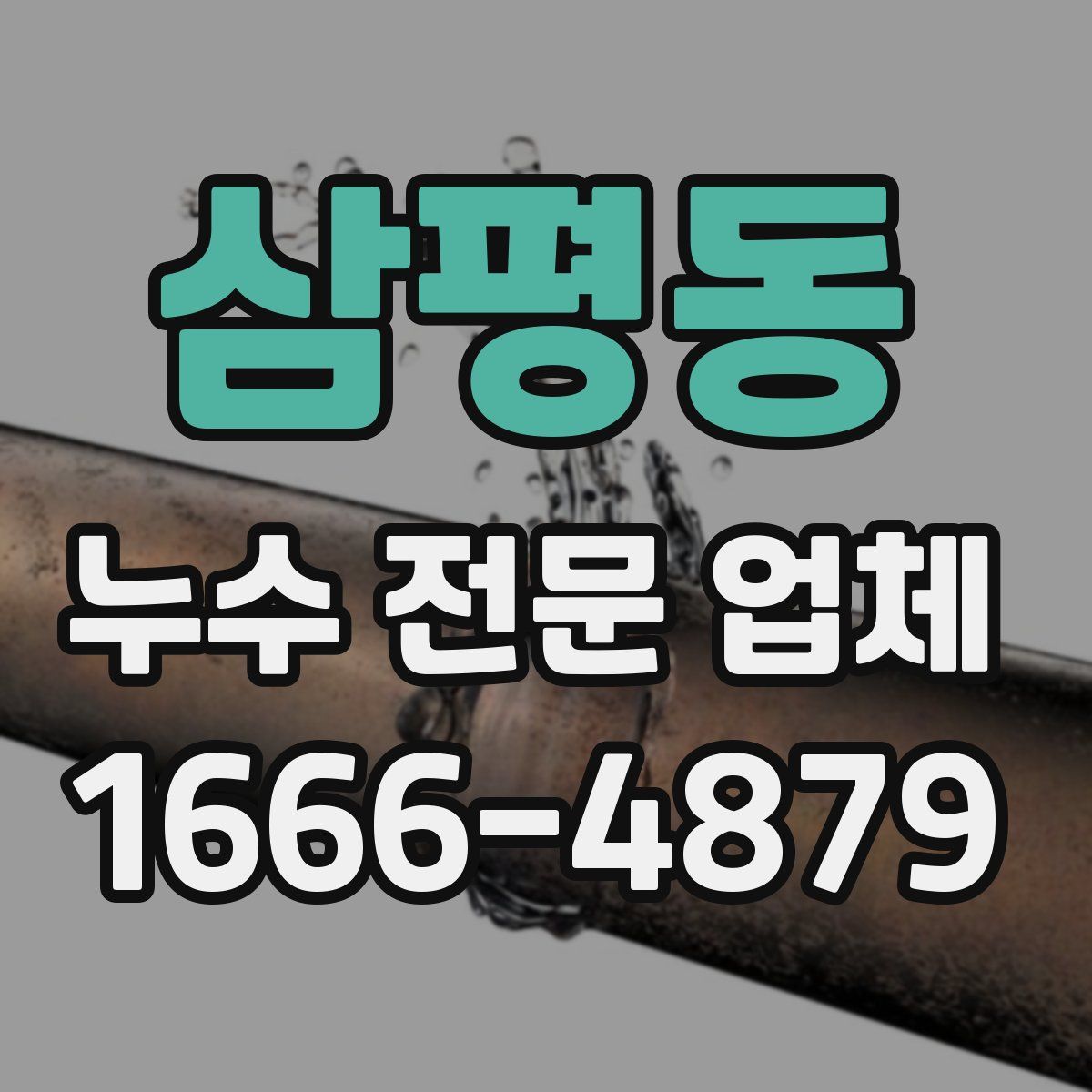 삼평동 누수 전문 업체