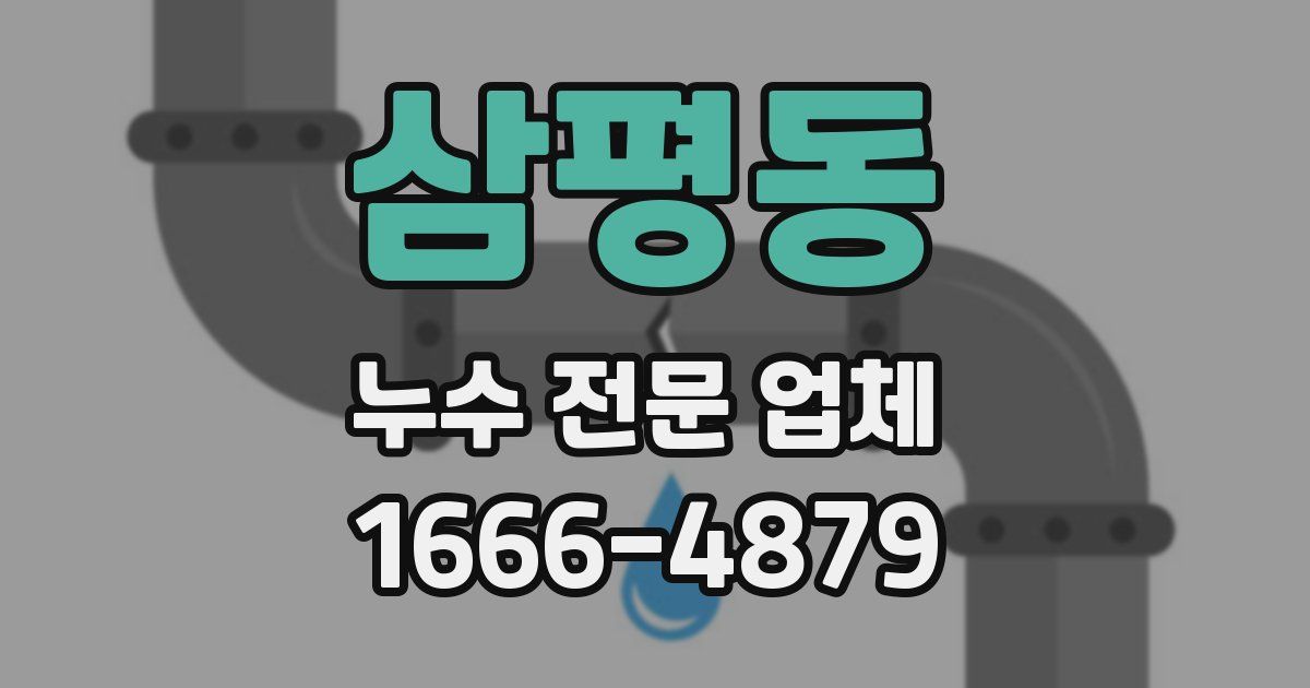 삼평동 누수 전문 업체