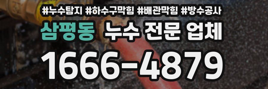 삼평동 누수 전문 업체