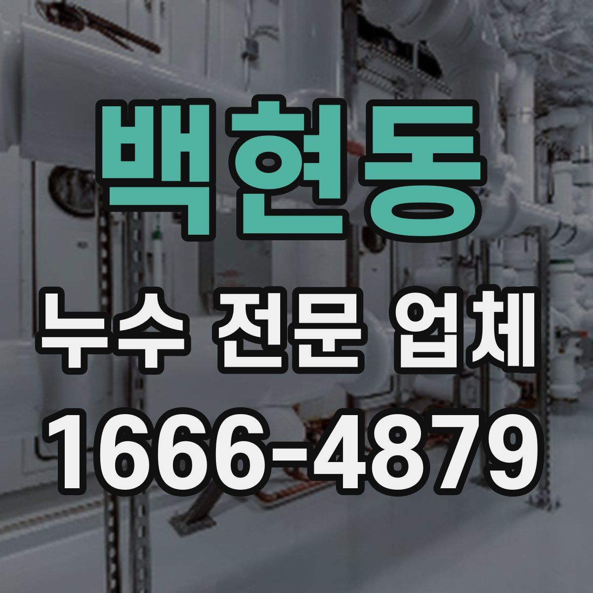 백현동 누수 전문 업체