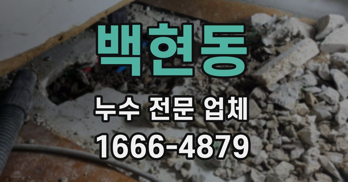 백현동 누수 전문 업체