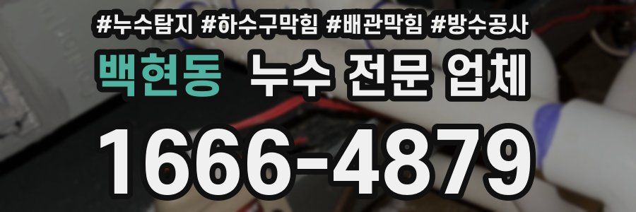 백현동 누수 전문 업체
