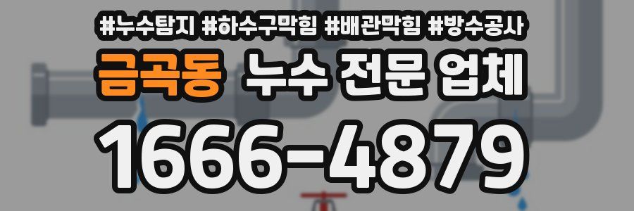 금곡동 누수 전문 업체