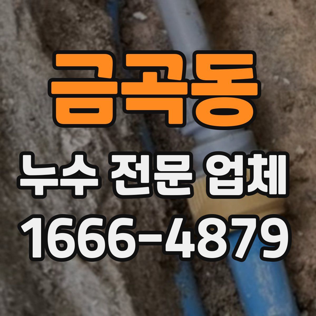 금곡동 누수 전문 업체