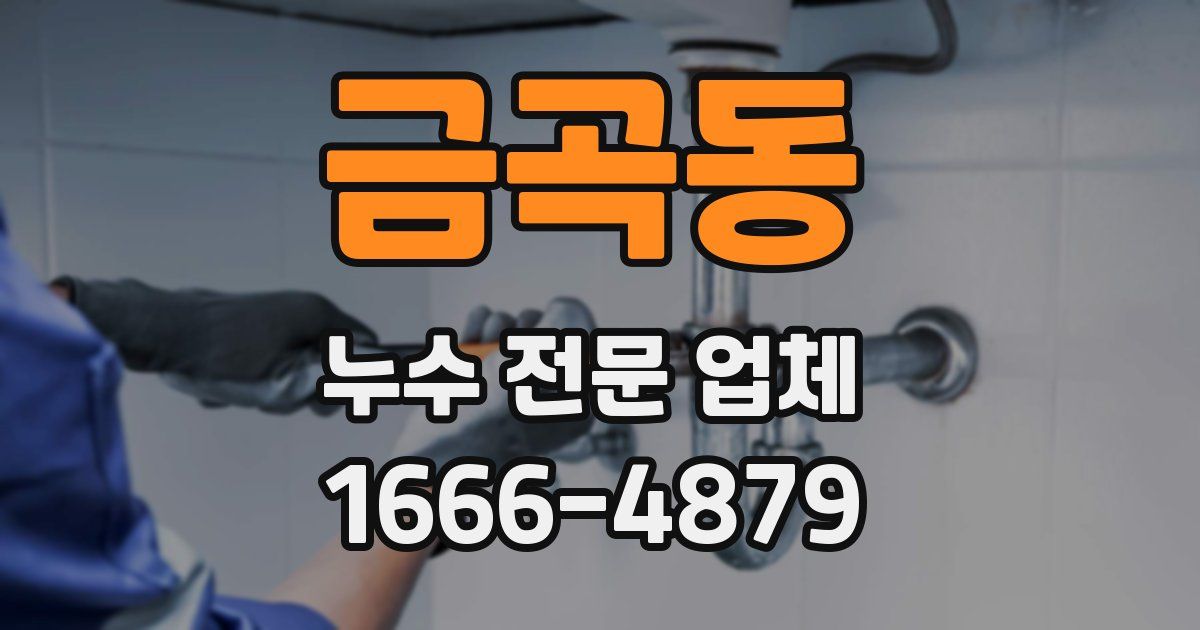 금곡동 누수 전문 업체