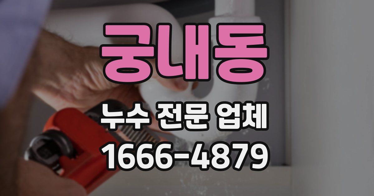 궁내동 누수 전문 업체