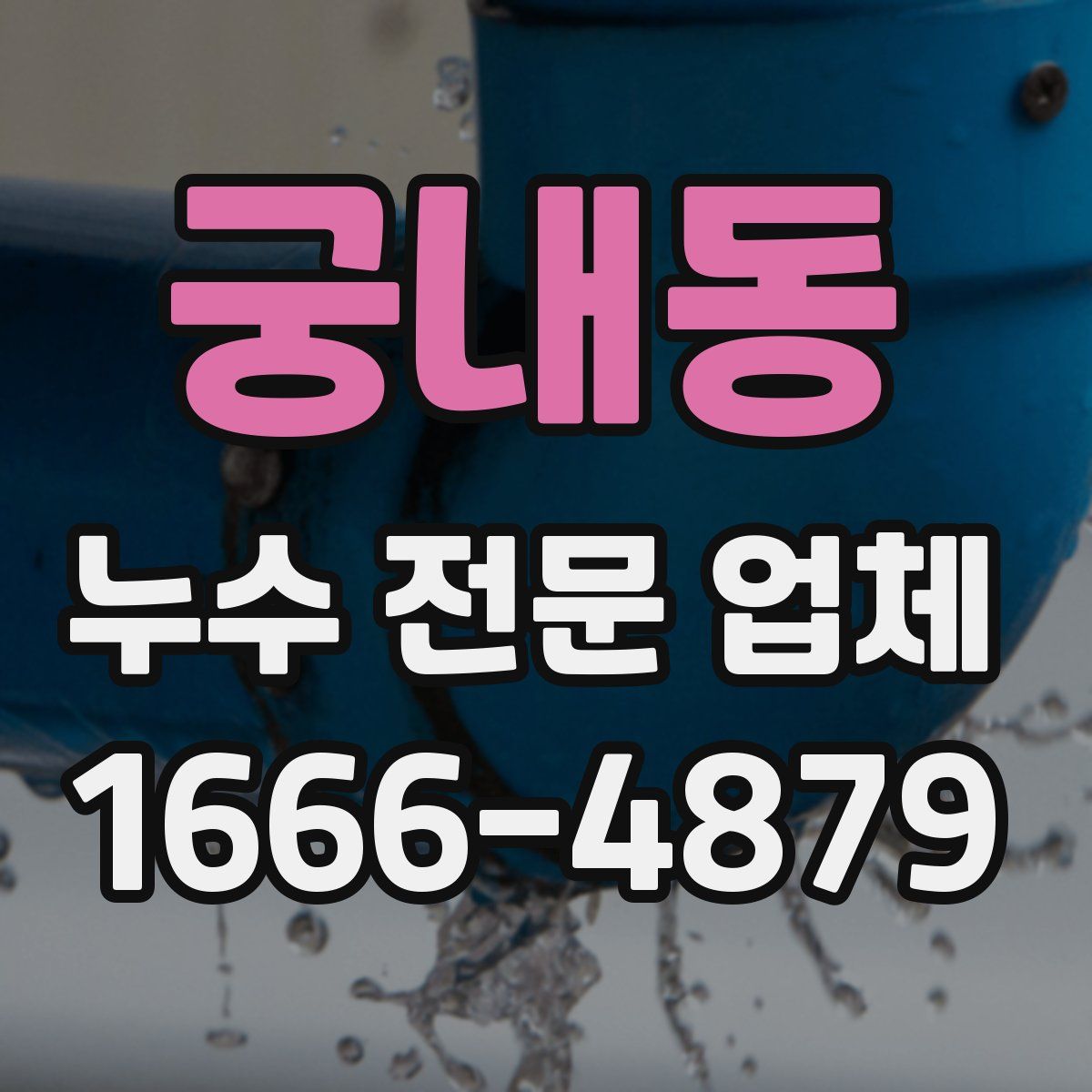 궁내동 누수 전문 업체