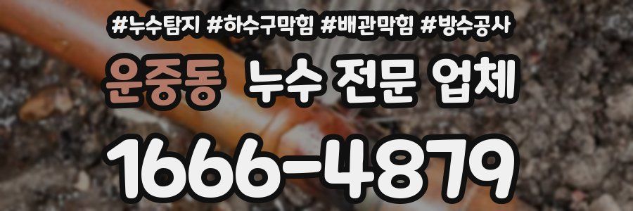 운중동 누수 전문 업체