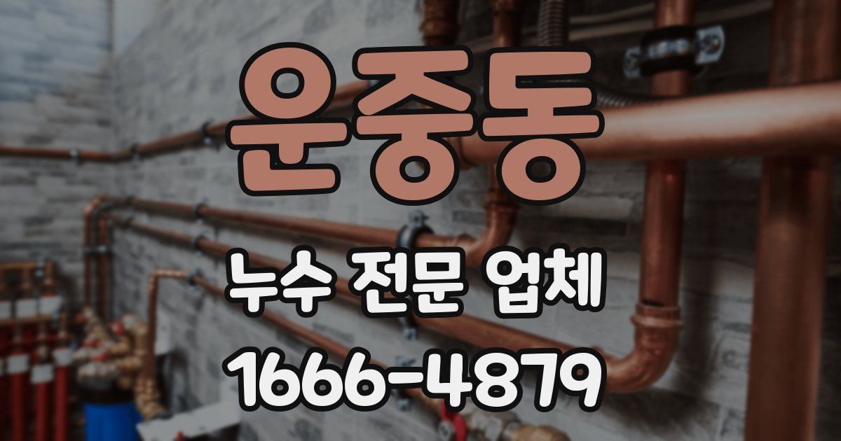 운중동 누수 전문 업체
