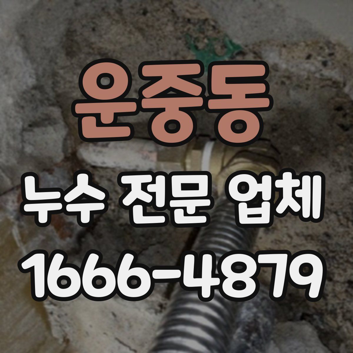 운중동 누수 전문 업체