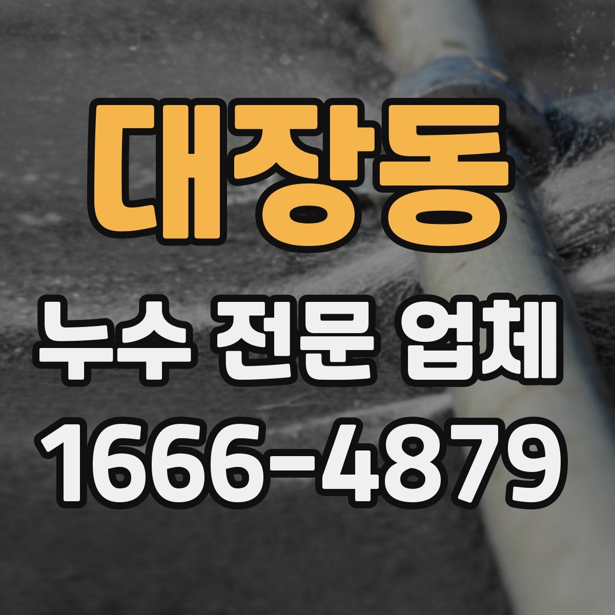 대장동 누수 전문 업체