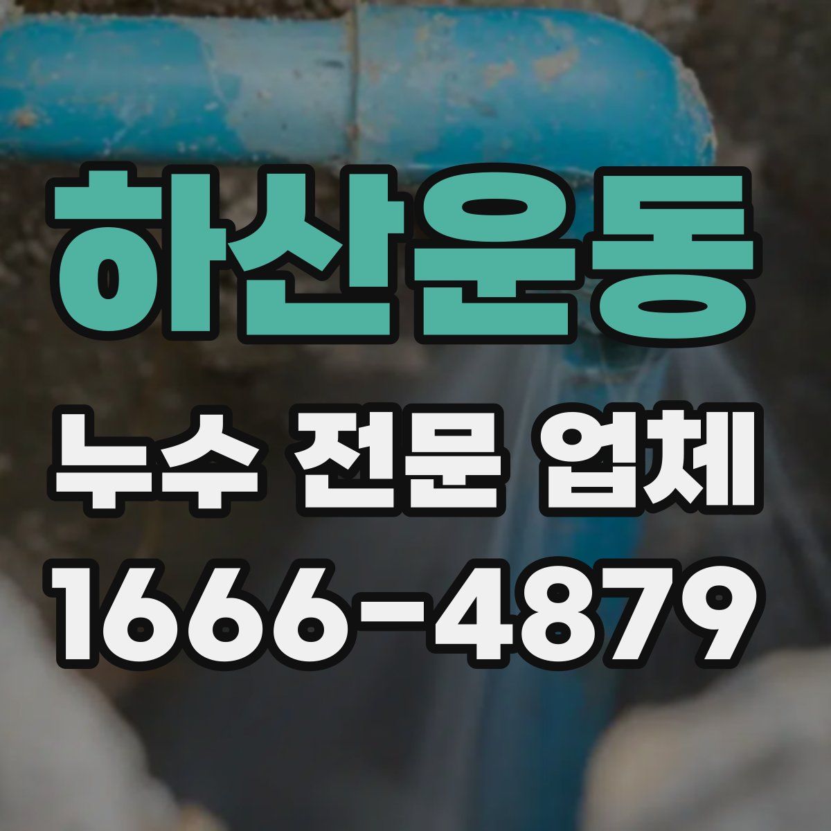 하산운동 누수 전문 업체