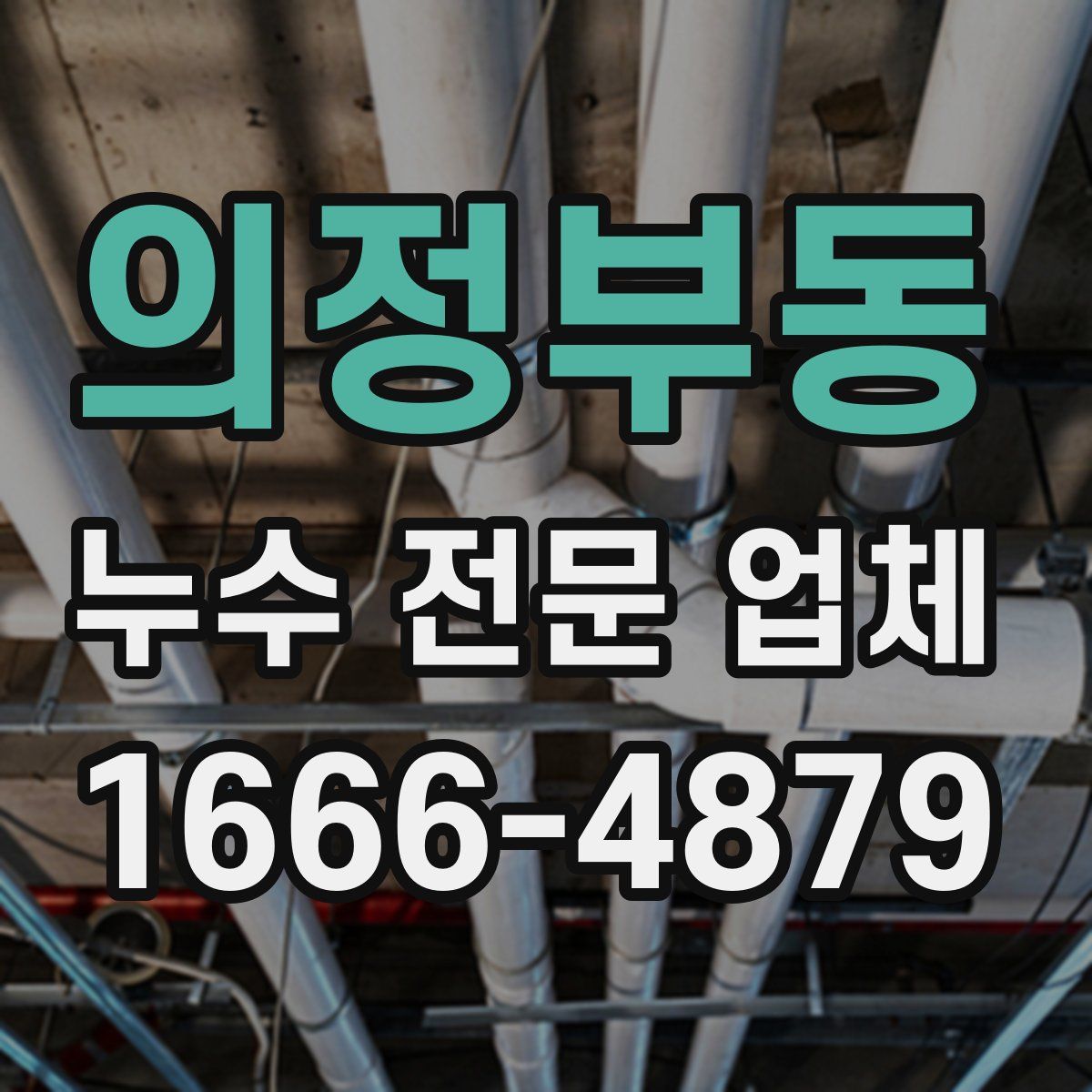 의정부동 누수 전문 업체