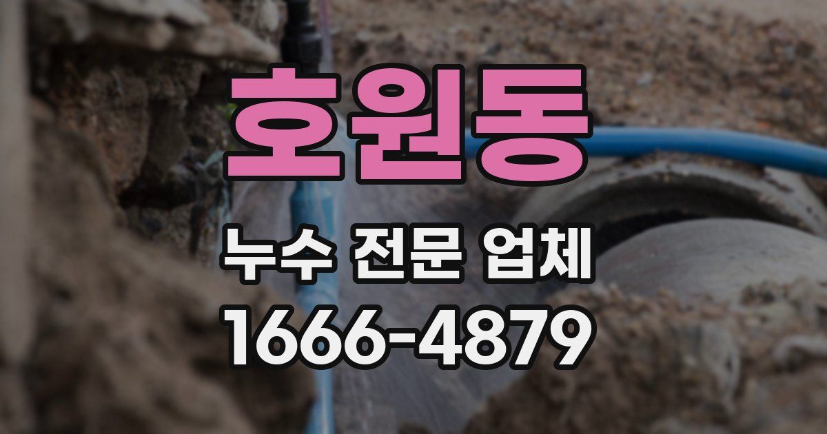 호원동 누수 전문 업체