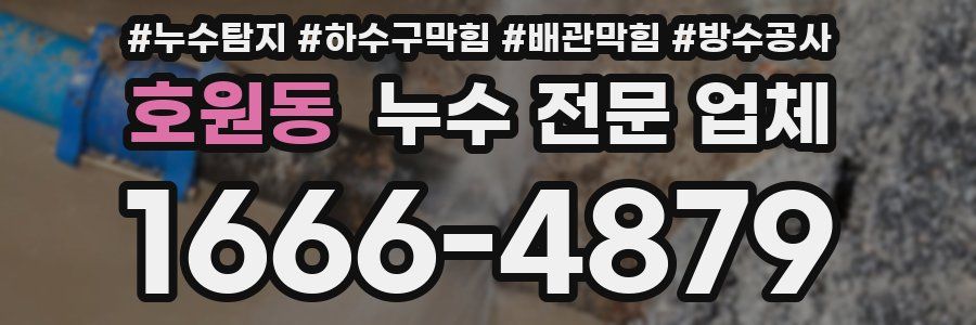 호원동 누수 전문 업체