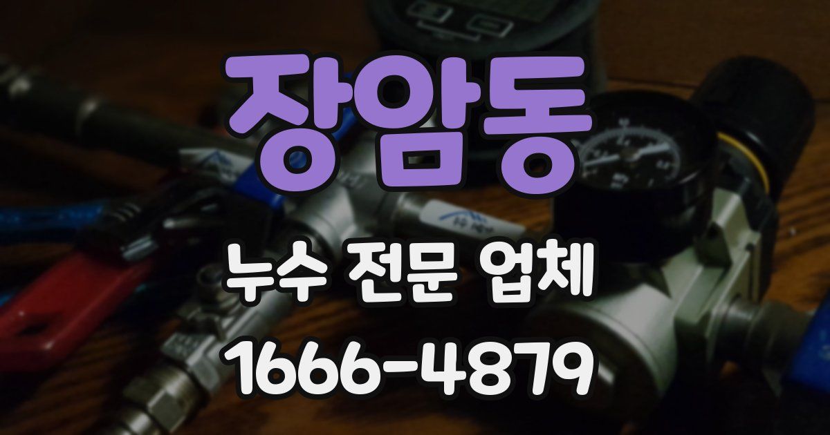 장암동 누수 전문 업체