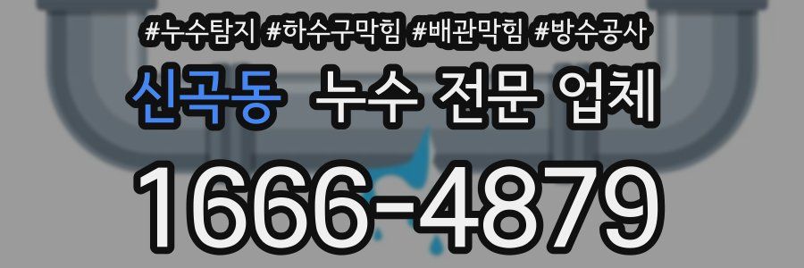 신곡동 누수 전문 업체