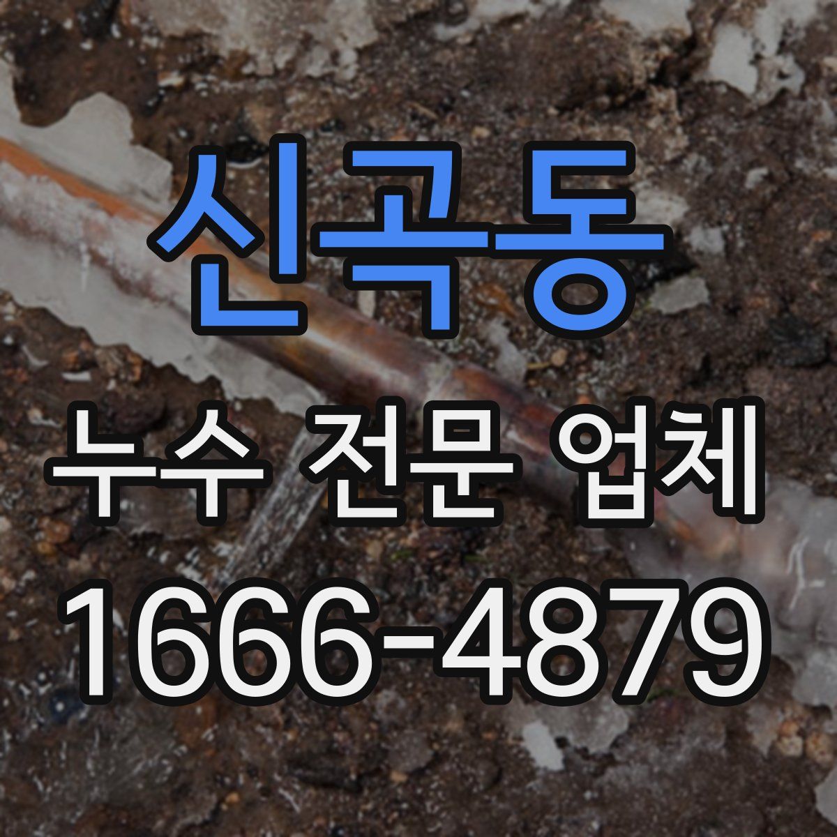 신곡동 누수 전문 업체