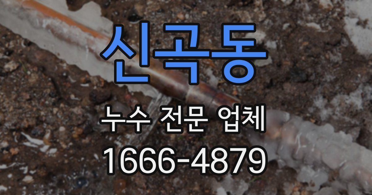신곡동 누수 전문 업체
