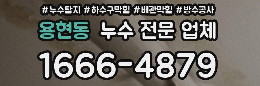 용현동 누수 전문 업체