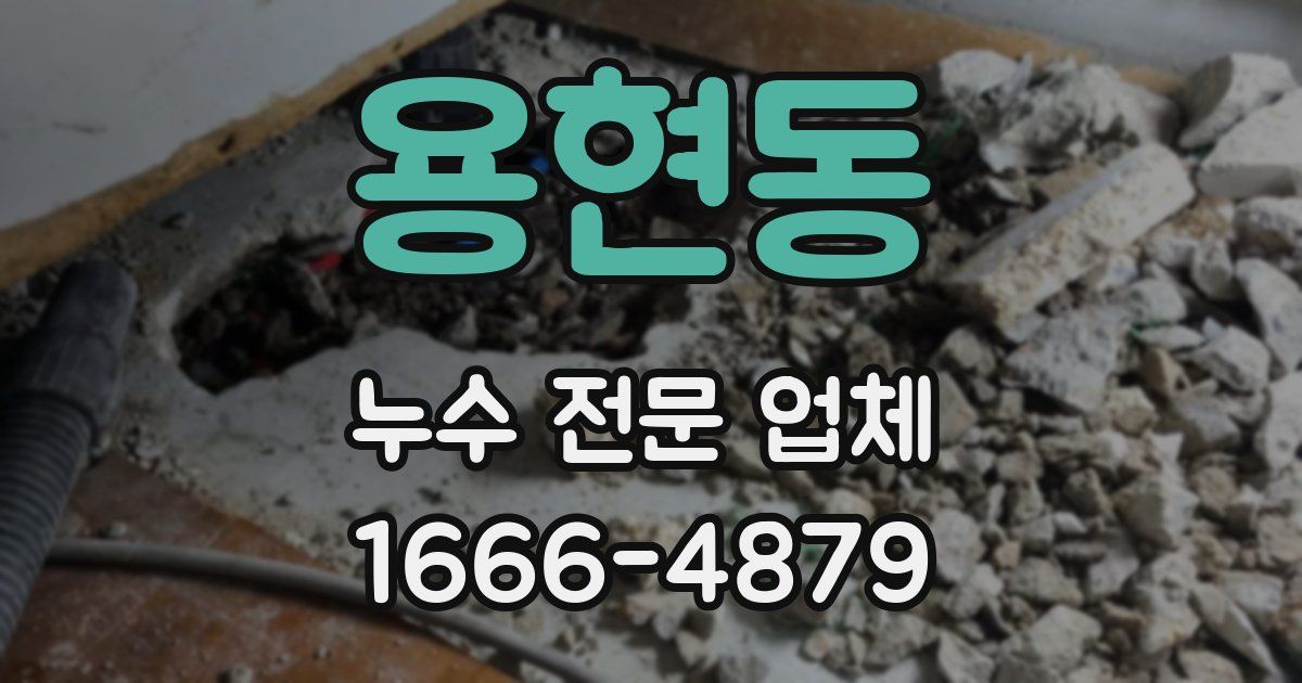 용현동 누수 전문 업체