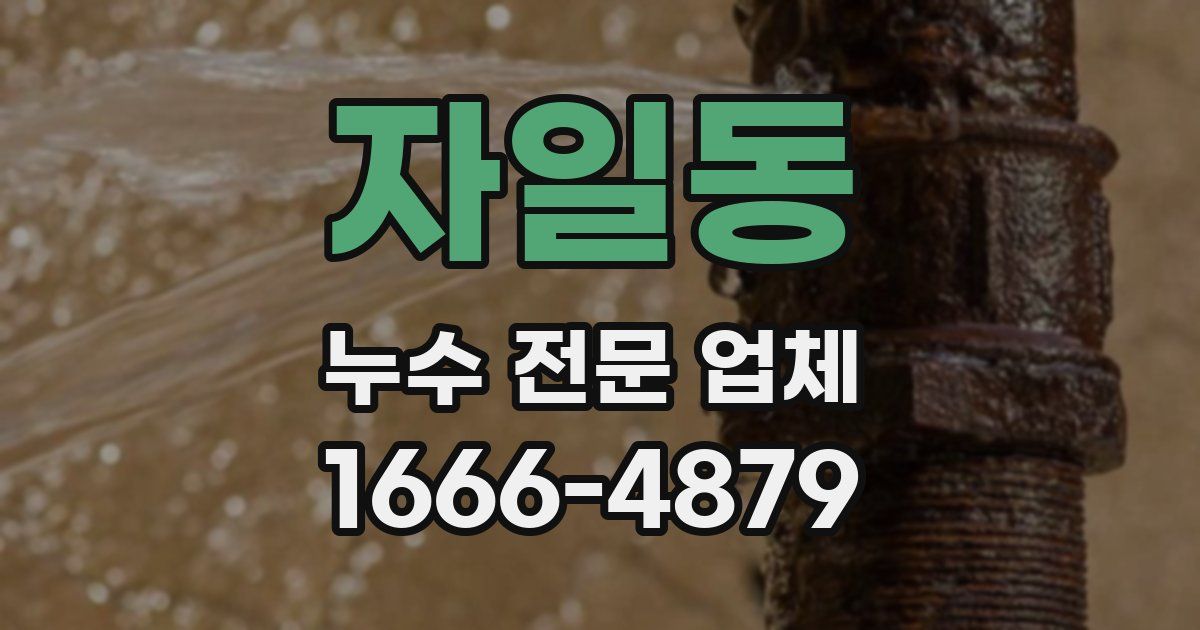 자일동 누수 전문 업체