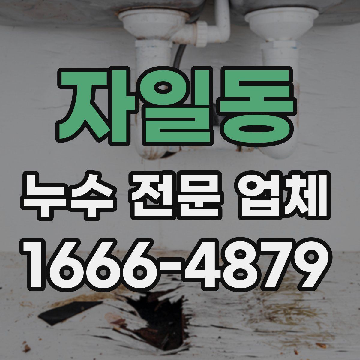 자일동 누수 전문 업체