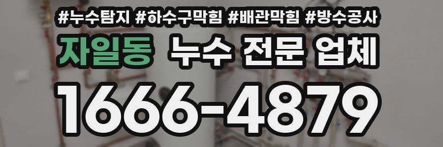 자일동 누수 전문 업체