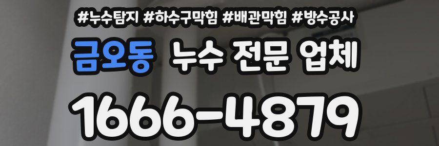 금오동 누수 전문 업체