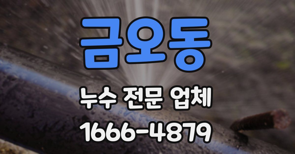 금오동 누수 전문 업체