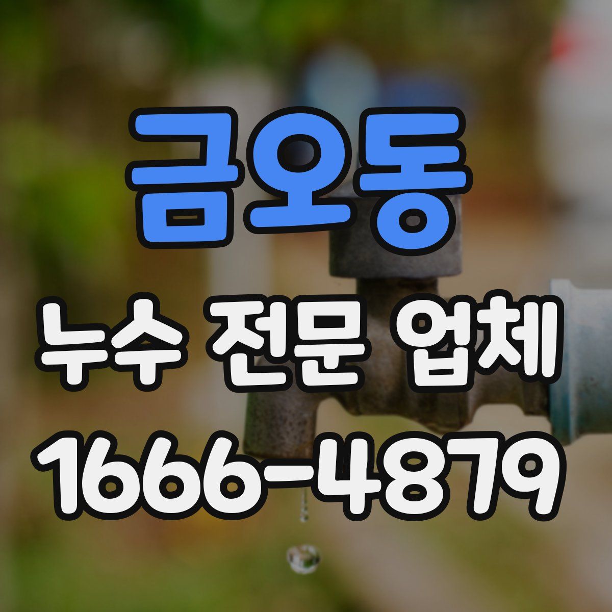 금오동 누수 전문 업체