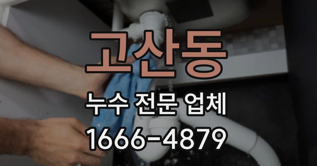 고산동 누수 전문 업체