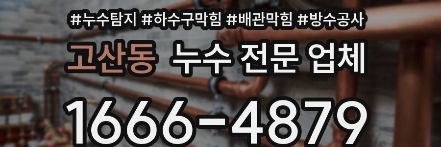 고산동 누수 전문 업체