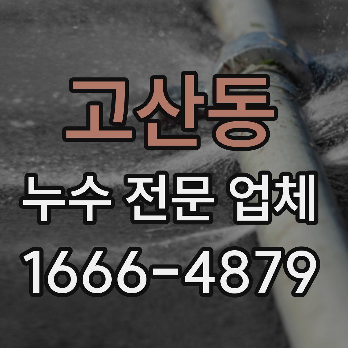 고산동 누수 전문 업체
