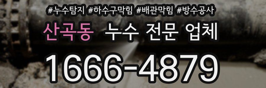 산곡동 누수 전문 업체