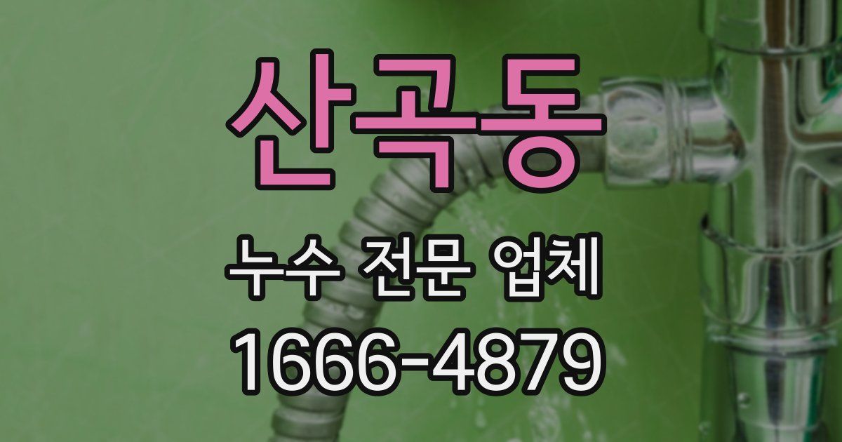 산곡동 누수 전문 업체