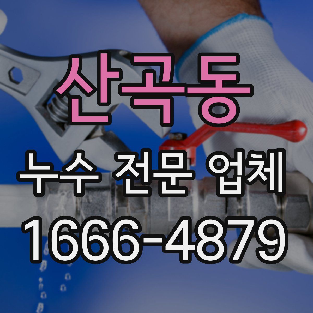 산곡동 누수 전문 업체