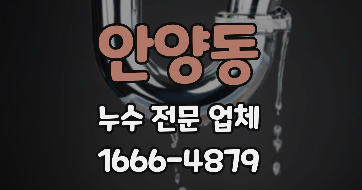안양동 누수 전문 업체