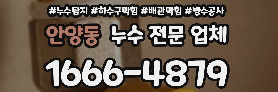 안양동 누수 전문 업체
