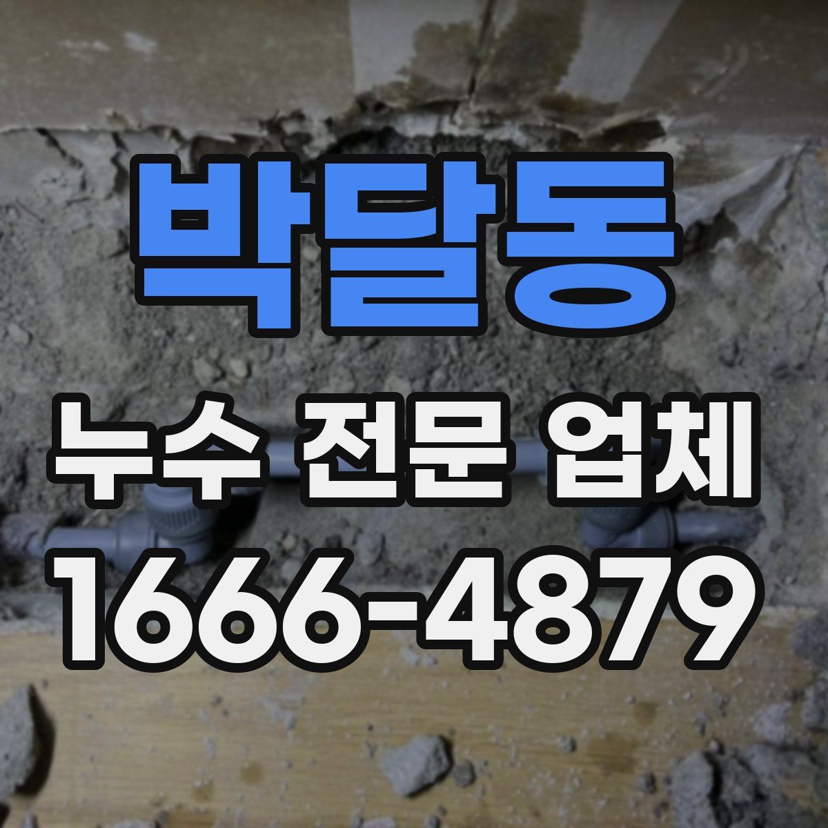 박달동 누수 전문 업체
