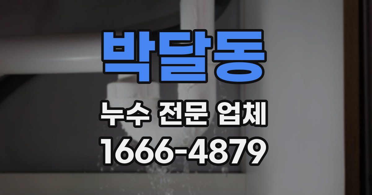 박달동 누수 전문 업체