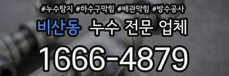 비산동 누수 전문 업체
