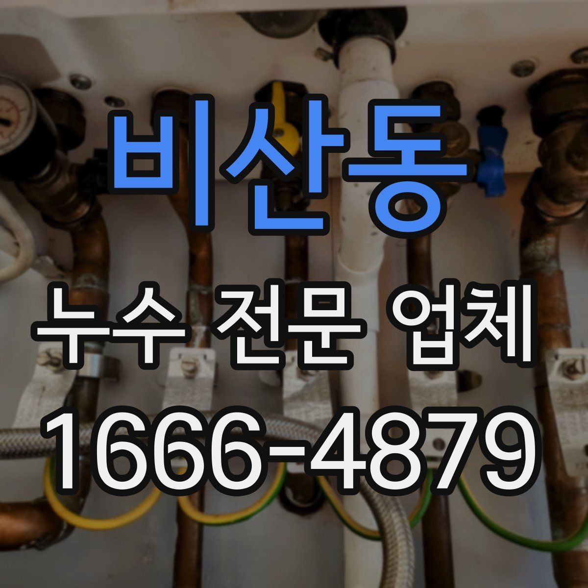 비산동 누수 전문 업체