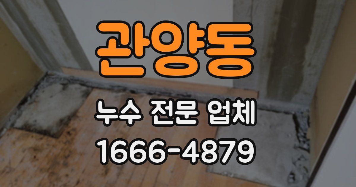 관양동 누수 전문 업체