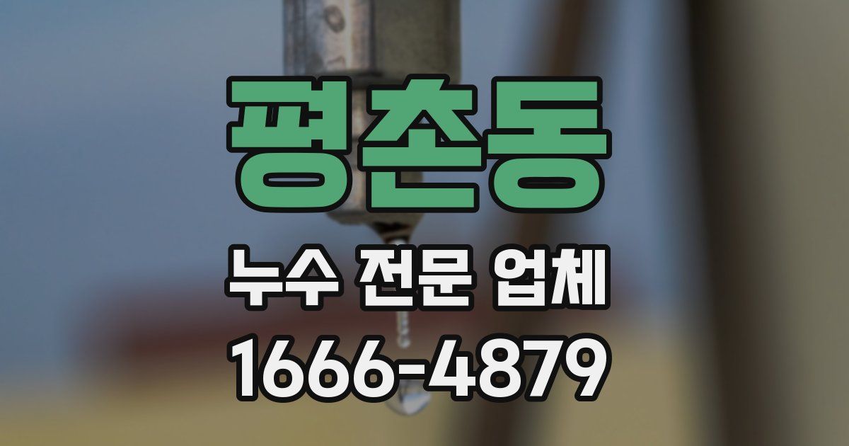 평촌동 누수 전문 업체