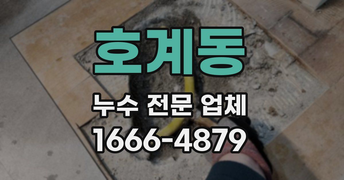 호계동 누수 전문 업체