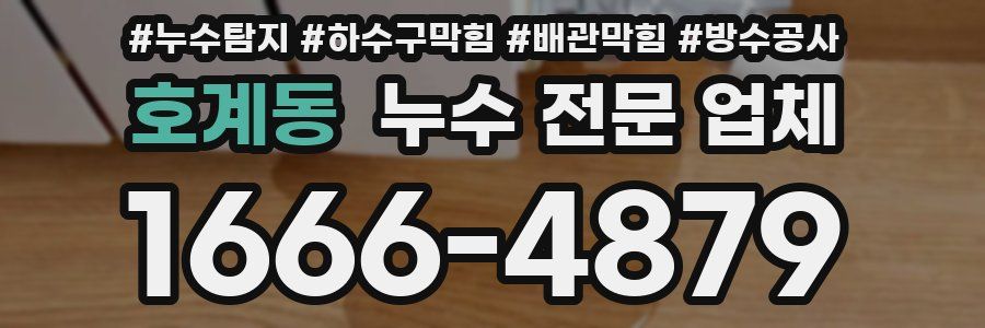 호계동 누수 전문 업체