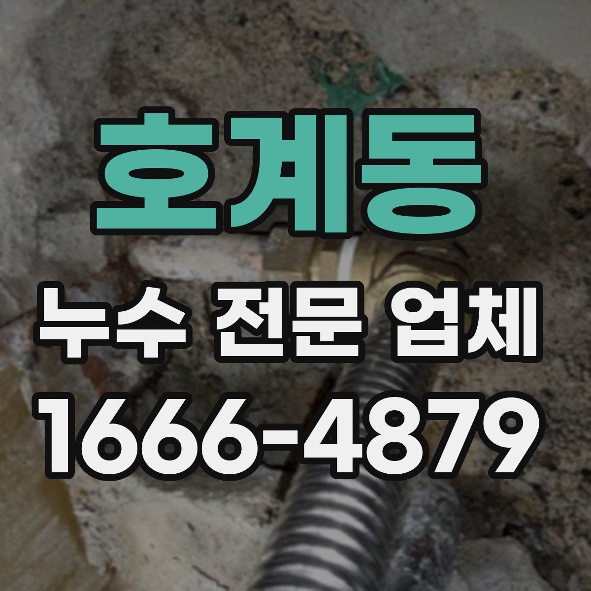 호계동 누수 전문 업체
